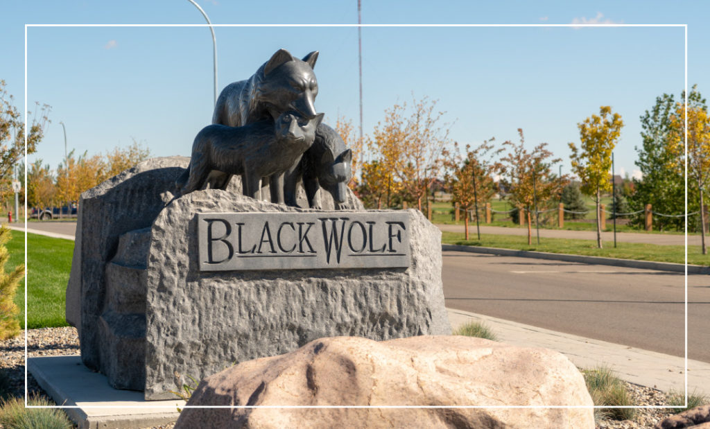 Big Bold Beautiful Blackwolf 6 Time Community Of The Year Winner